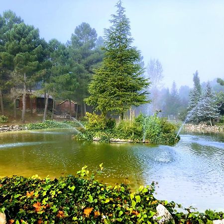 Chalet Esmeralda 3 D Y 2 Banos Zafiro Lagunazo Parque Natural Rio Mundo Riópar Exteriör bild