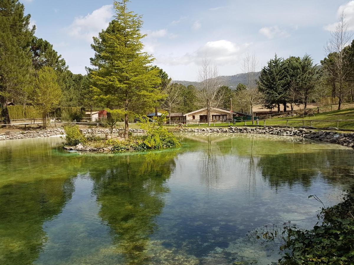 Chalet Esmeralda 3 D Y 2 Banos Zafiro Lagunazo Parque Natural Rio Mundo Riópar Exteriör bild