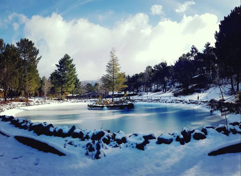 Chalet Esmeralda 3 D Y 2 Banos Zafiro Lagunazo Parque Natural Rio Mundo Riópar Exteriör bild