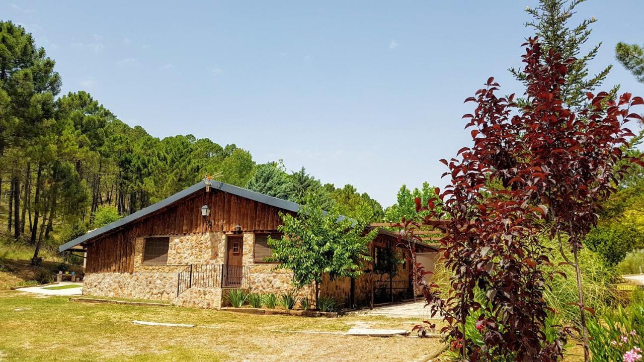 Chalet Esmeralda 3 D Y 2 Banos Zafiro Lagunazo Parque Natural Rio Mundo Riópar Exteriör bild