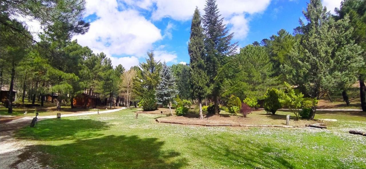 Chalet Esmeralda 3 D Y 2 Banos Zafiro Lagunazo Parque Natural Rio Mundo Riópar Exteriör bild