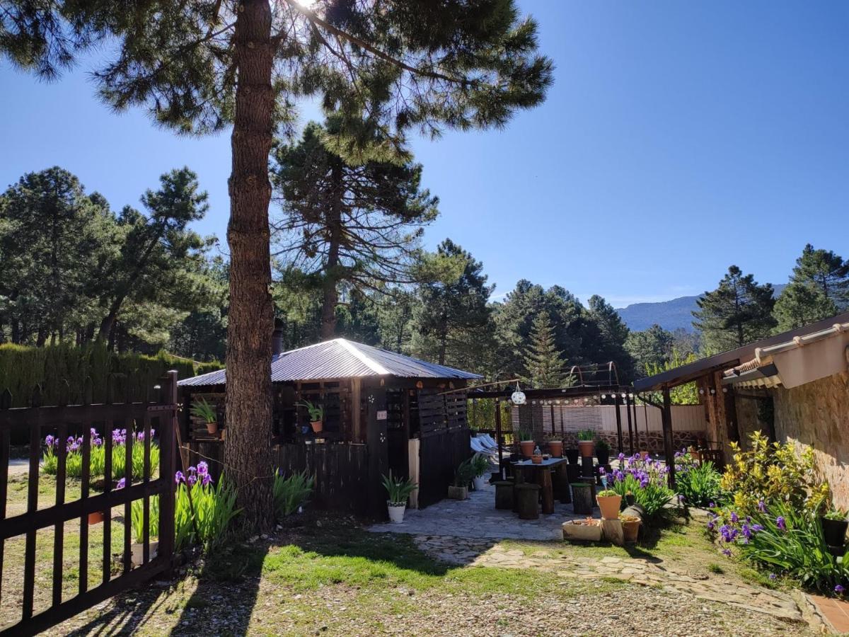 Chalet Esmeralda 3 D Y 2 Banos Zafiro Lagunazo Parque Natural Rio Mundo Riópar Exteriör bild